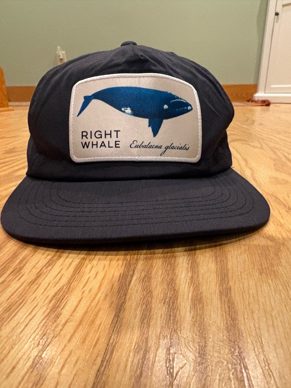 Navy Patch Snapback Hat